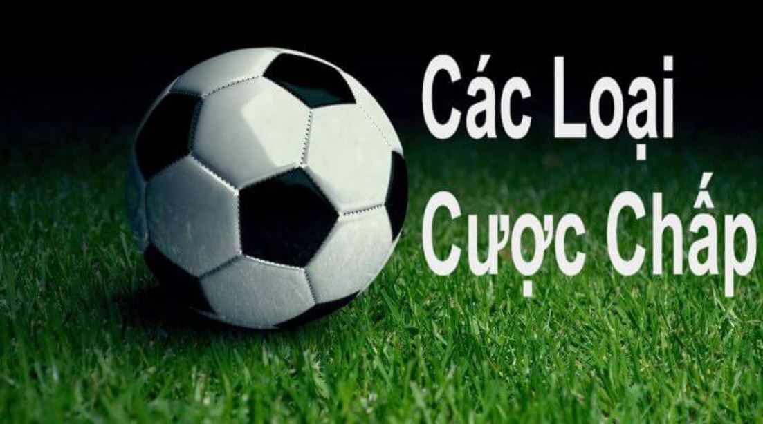 Tỷ lệ kèo chấp thú vị tại nhà cái SV88bet