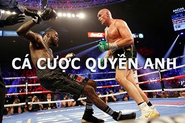 Các loại cá cược boxing phổ biến tại cổng game SV88